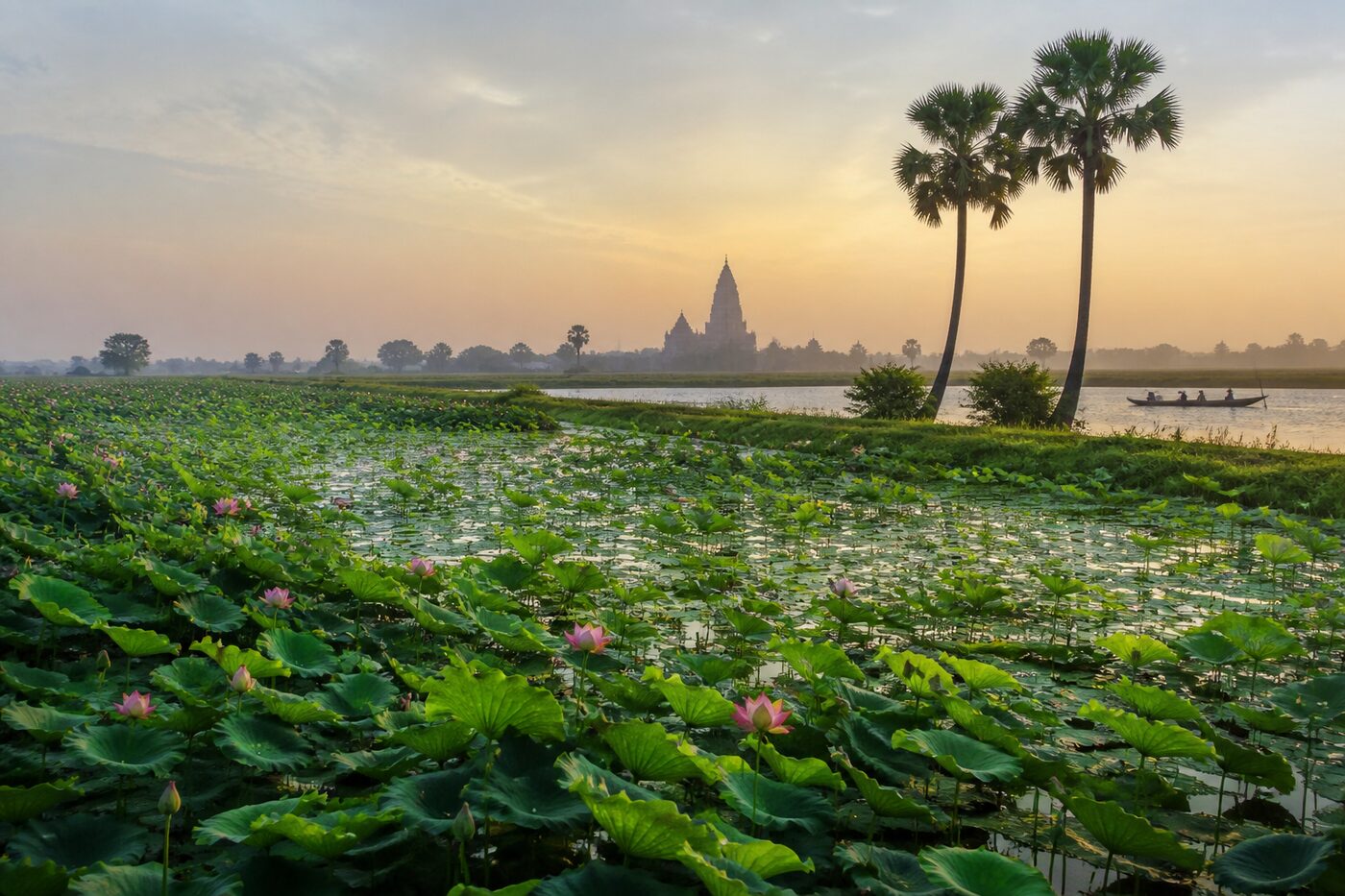 Bihar farmland